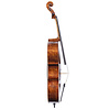 Nocturne 4/4 cello, fully carved, with high quality strings