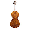 Nocturne 4/4 cello, fully carved, with high quality strings