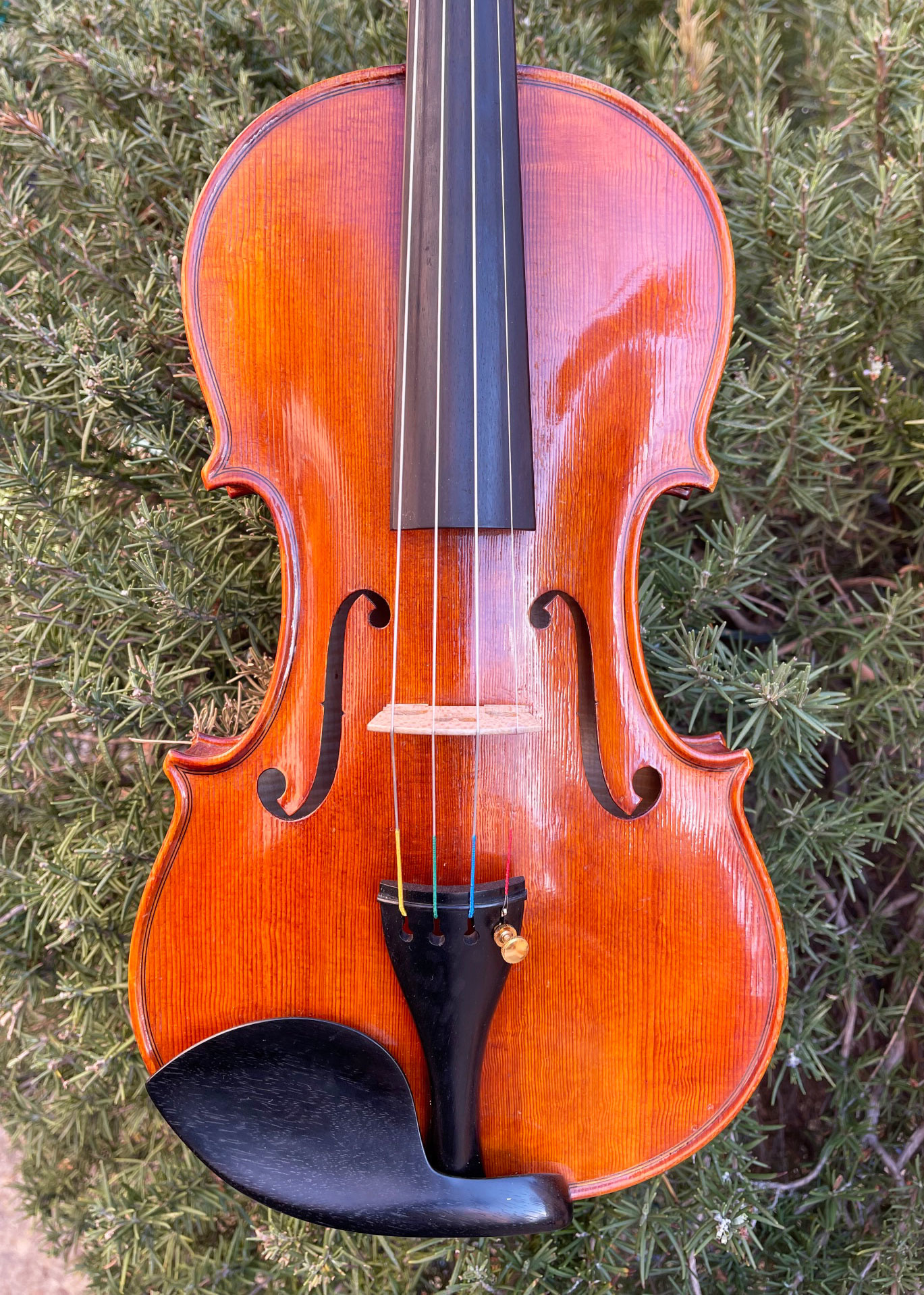 Polish Roman Glogowski violin, 2015, Zab, Poland