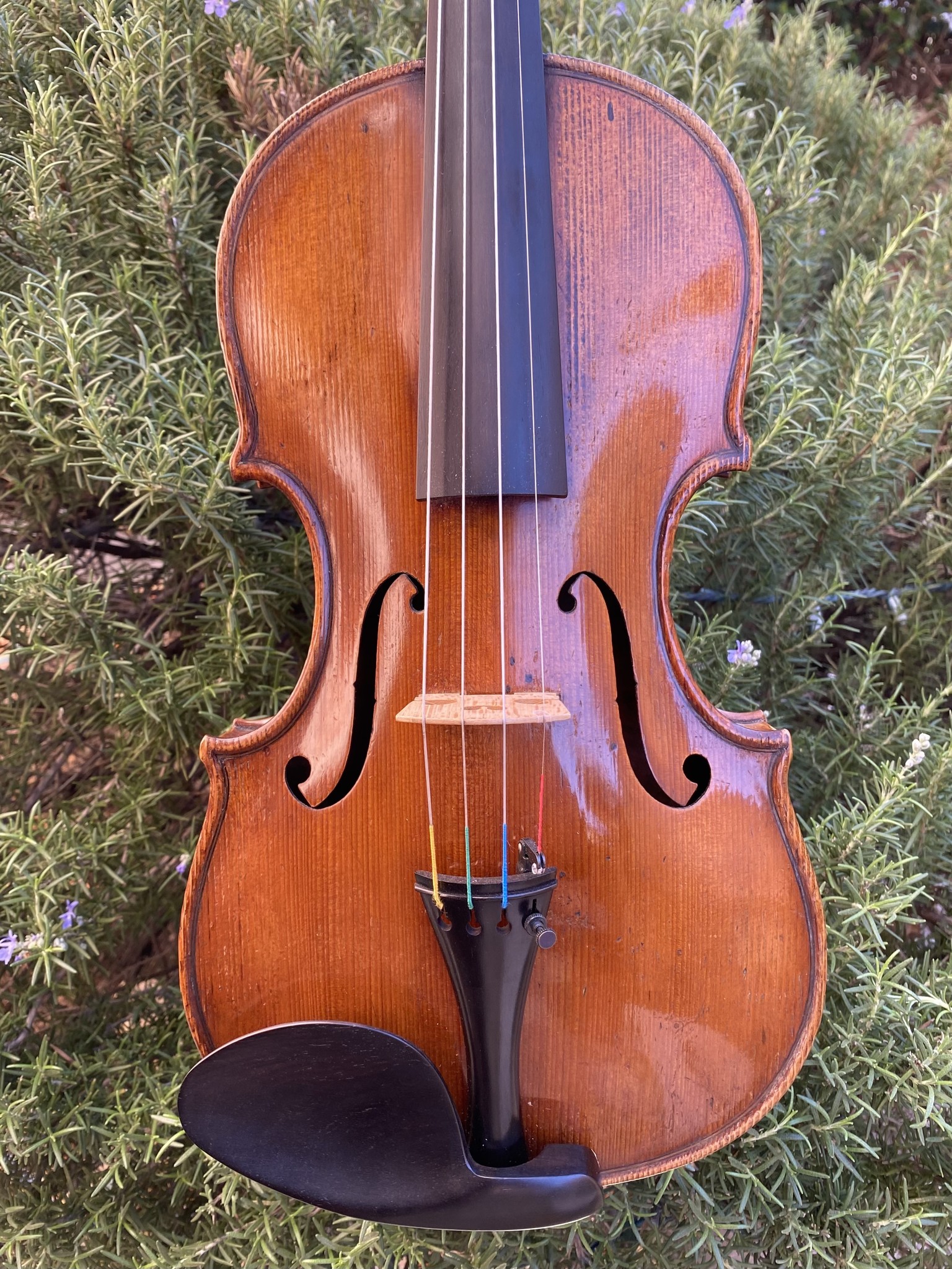 Bernhard Fritzsch violin, 1907, Cincinnati, USA
