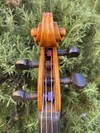 Chunyee Lu 16" viola, 1993, Chicago, USA | Metzler Violins