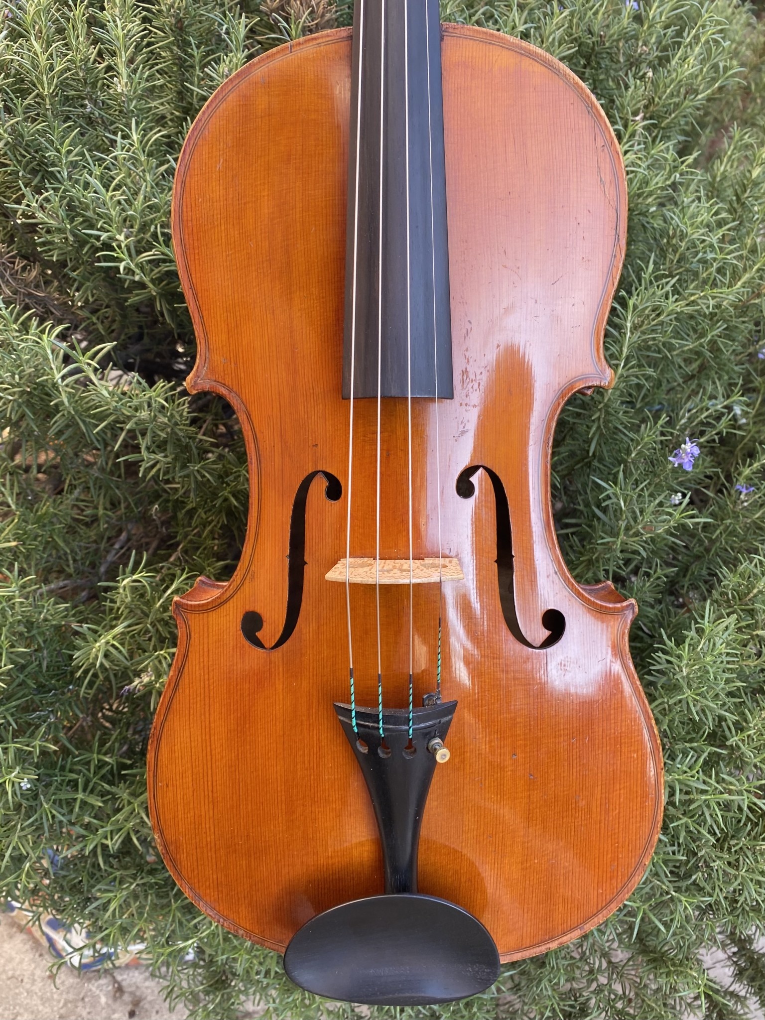 French Bernardel 1840 label 16 5/8" viola, ca 1925, Mirecourt, FRANCE