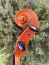 Canadian Raymond Schryer 16 5/16" viola 1995 Hilton Beach | Metzler Violins
