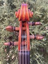 Darryn Smalley violin, Salt Lake City, 2020