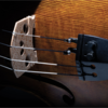 Thomastik-Infeld DOMINANT Pro violin string set, medium, by Thomastik-Infeld