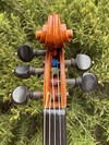 "Cesare Candi" label 5-string violin, Germany