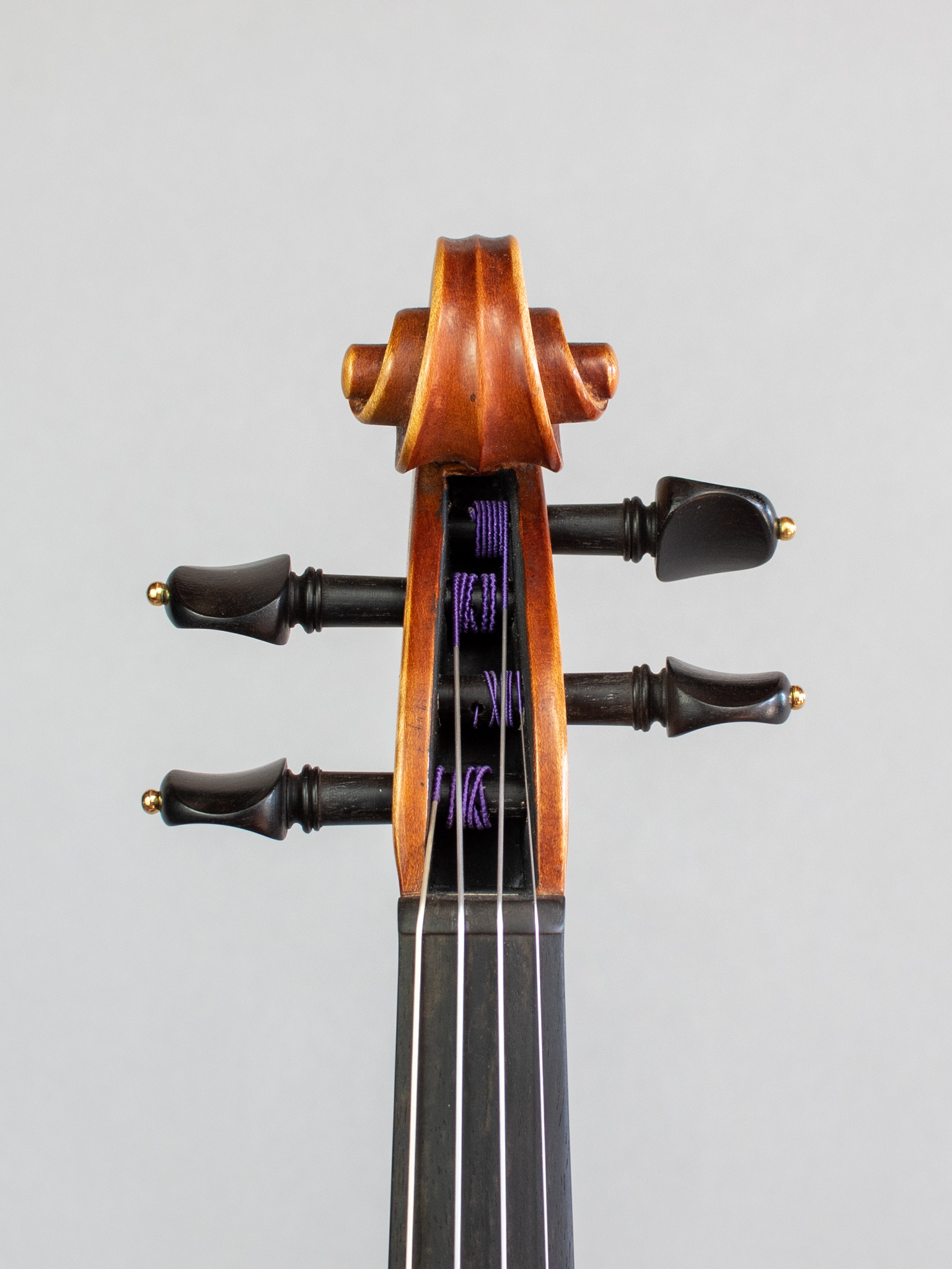 Roderich Paesold ペゾルト 802 バイオリン 4/4 - 楽器/器材