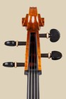 Italian Luca Pirini cello, 2022, Cremona, ITALY