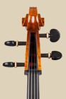 Italian Luca Pirini cello, 2022, Cremona, | Metzler Violins