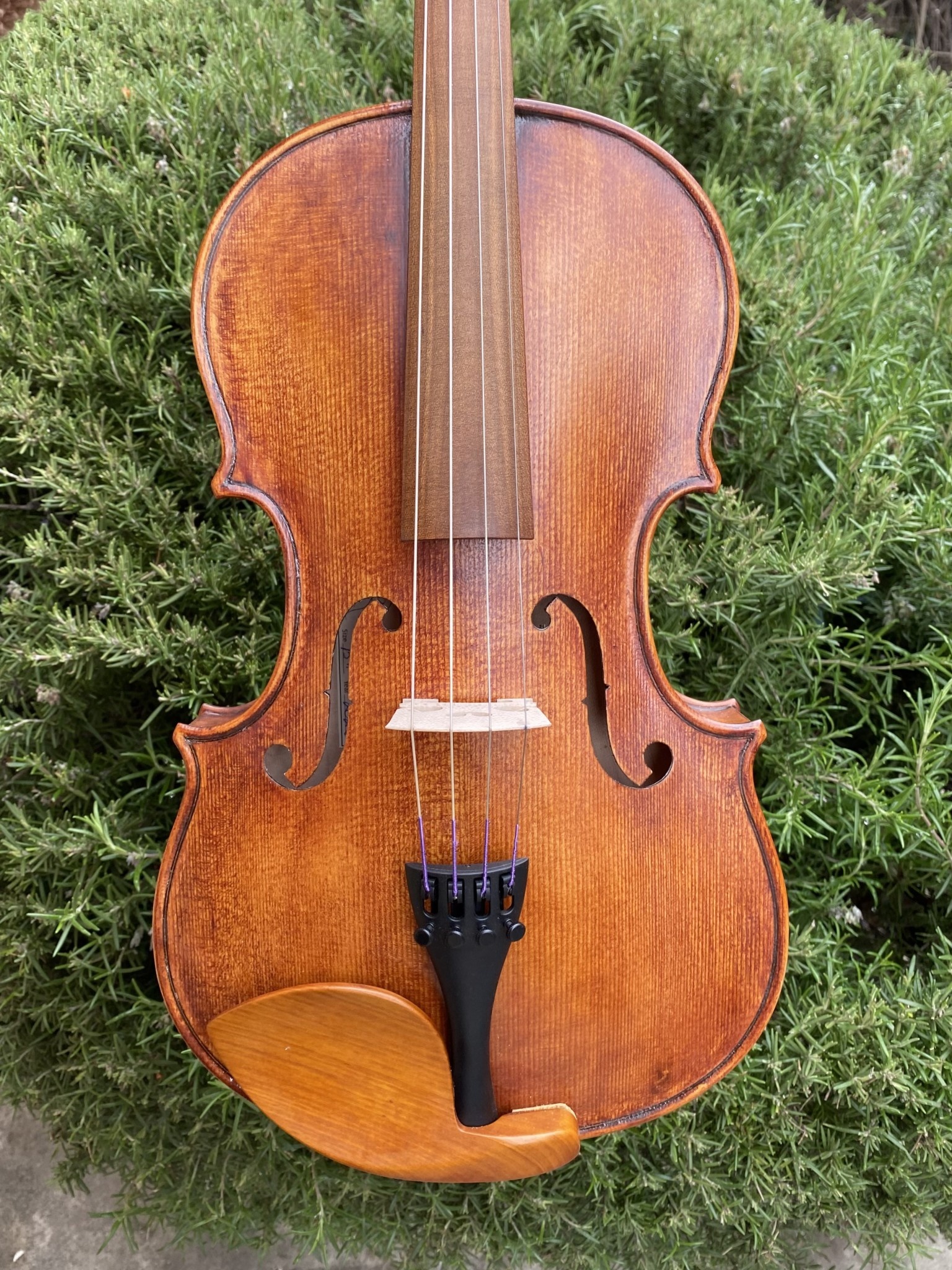 15" V. Richelieu viola, Sonowood fingerboard, #10382, 2023, S. Burlington, Vermont, USA