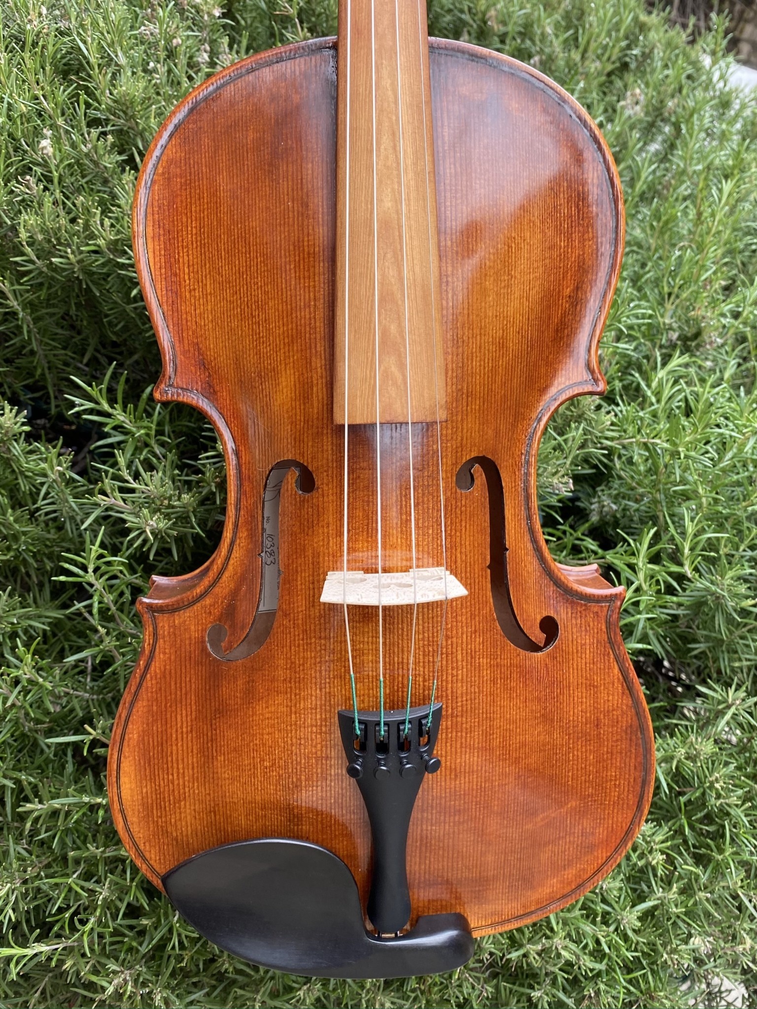 15.5" V. Richelieu Da Salo model viola, Sonowood fingerboard, 10383