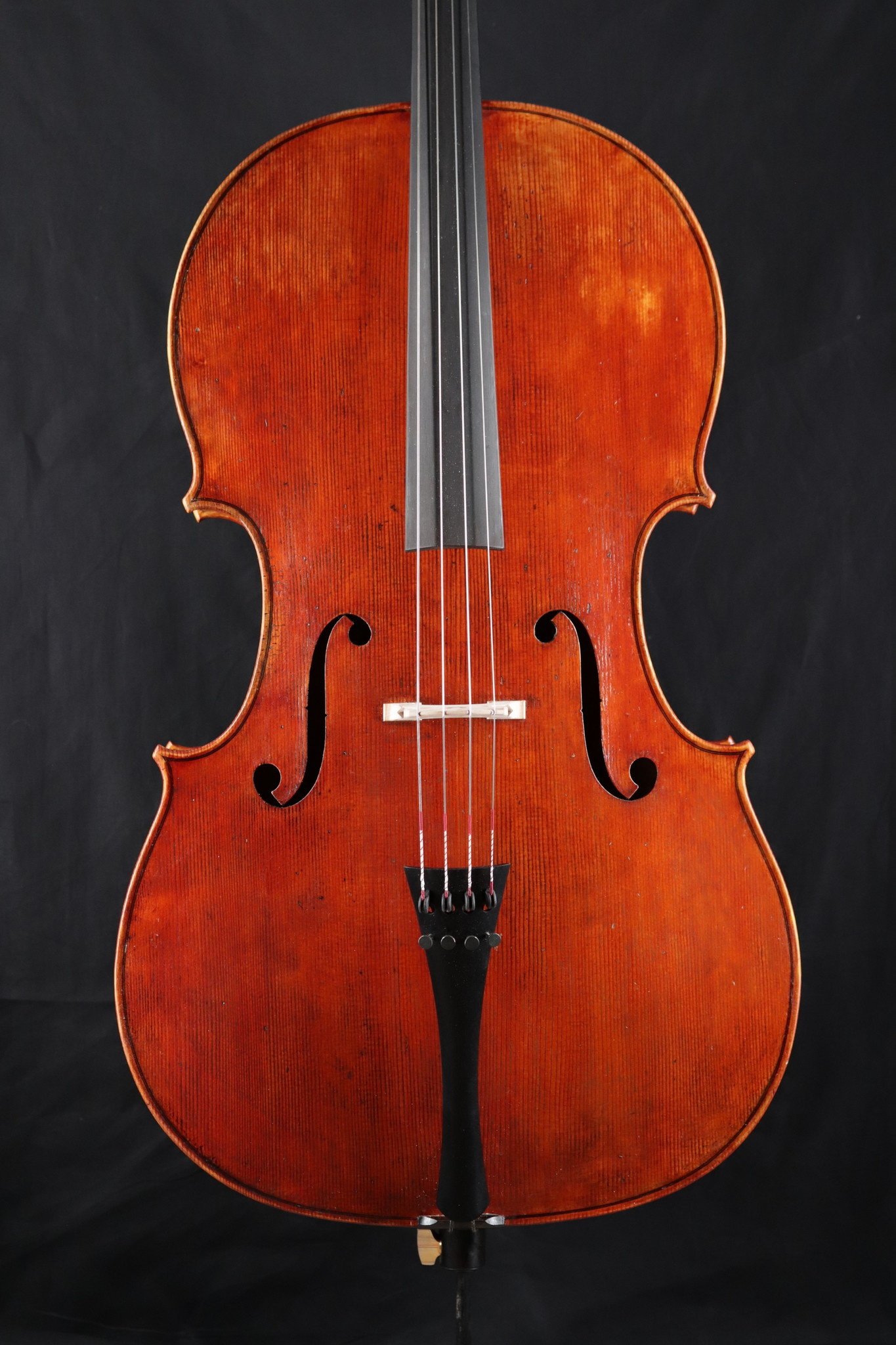 Jeffrey Robinson 4/4 cello, Flagstaff AZ 2020