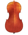 Bernd Dimbath model 314 cello, 2005, Bubenreuth, GERMANY