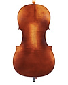 Roderich Paesold cello, 2022 | Metzler Violins