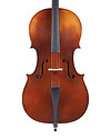 Roderich Paesold cello, 2022 | Metzler Violins