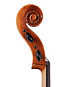 Roderich Paesold cello, 2022 | Metzler Violins