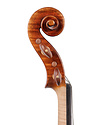 ANGELI EURO 4/4 Violin (old European wood) with highly figured maple