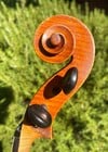 Italian Vincenzo Cavani 16 3/4" viola, #128, 1951, Spilamberto, ITALY