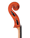 Carlos Funes Vitanza, "Andrea Guarneri" model cello, 2022