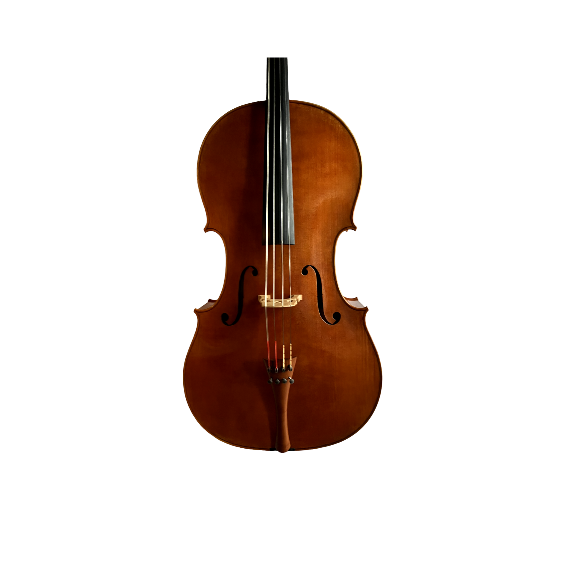 Frederik Bethke cello, Minneapolis, MN, 2023