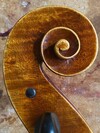 Andrew Carruthers Tononi model cello, Santa Rosa, CA, 2024