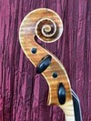 Alexander Tzankow violin, Lakewood, CO, USA, 2023