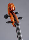 Marinos Glitsos cello, willow back, 2024, St. Paul, MN | Metzler Violins