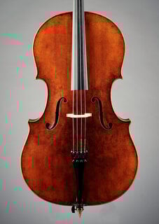 Marinos Glitsos cello, willow back, 2024, St. Paul, MN | Metzler Violins