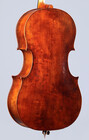 Marinos Glitsos cello, willow back, 2024, St. Paul, MN | Metzler Violins