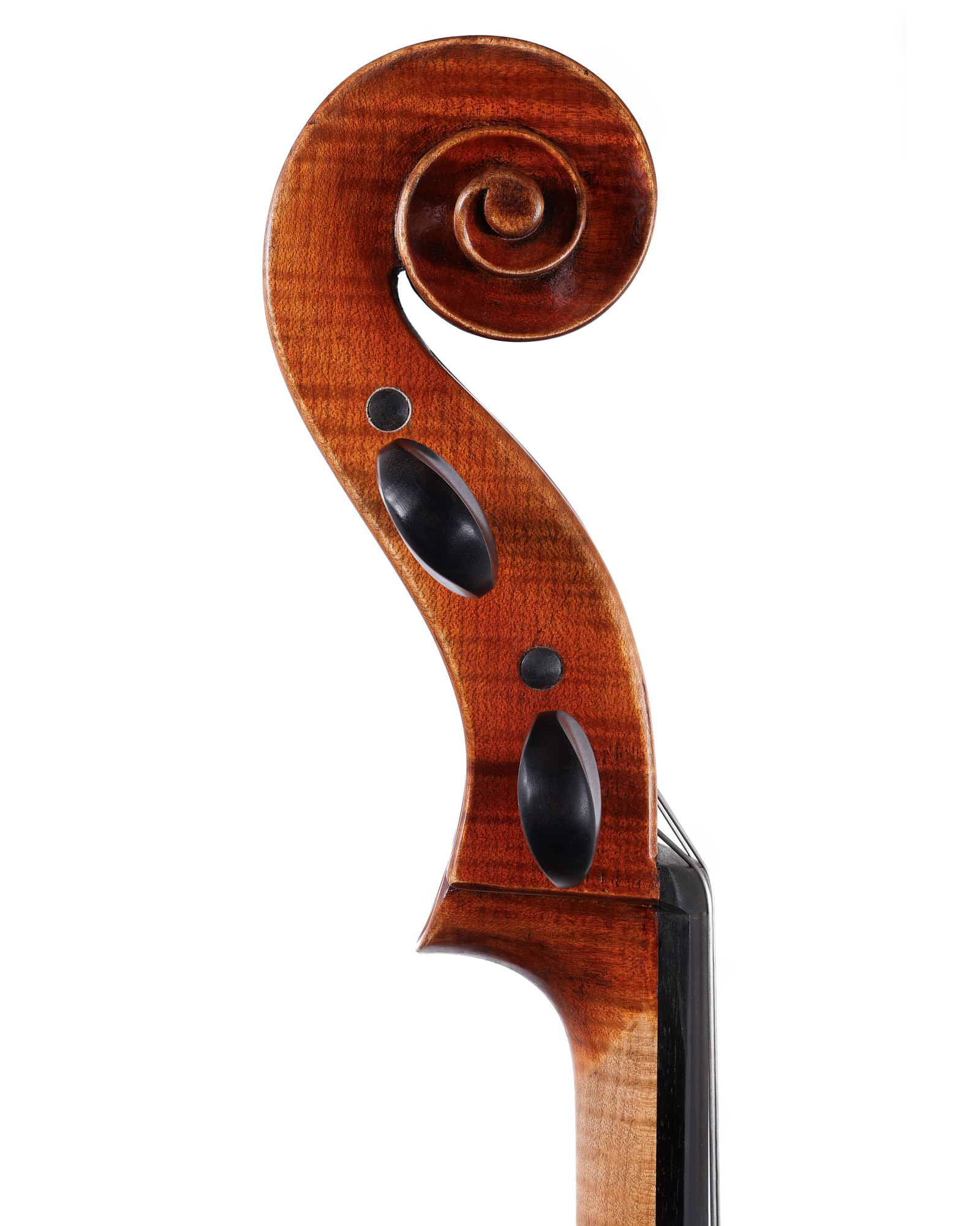 Larsen Aurora Cello D String 4/4 Str. - Musikhaus