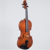 Realist REALIST electric 4-string Pro E-Series violin feat. Instant Active with Frantique finish, Wittner pegs & case