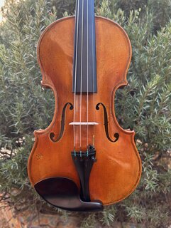 Arcos Brasil 1/2 Ettore Callegari violin | Metzler Violins