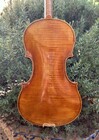 Arcos Brasil 1/2 Ettore Callegari violin | Metzler Violins