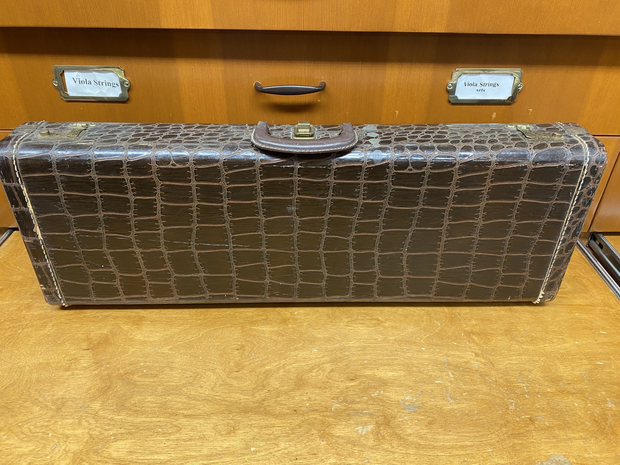Vintage faux alligator oblong case, green velvet interior | Metzler Violins