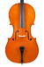 Italian Bertrand Yves Delisle cello, 2007, Cremona | Metzler Violins