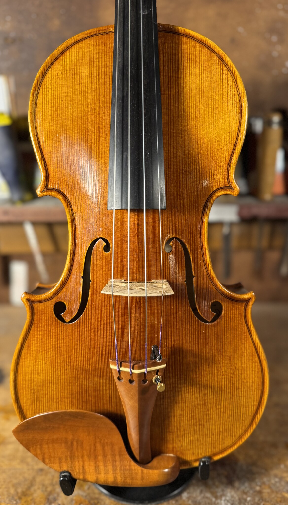 Italian Stefano Trabucchi violin, 2025, Cremona | Metzler Violins