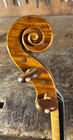Italian Stefano Trabucchi violin, 2025, Cremona | Metzler Violins