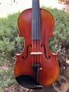 Otto Musica OTTO 4/4 model 350 violin