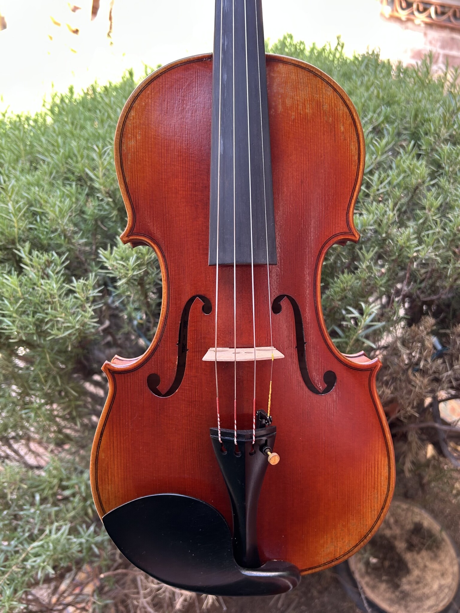 Otto Musica OTTO 4/4 model 350 violin