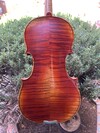 Otto Musica OTTO 4/4 model 350 violin