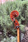 Italian Giorgio Grisales violin, Garimberti model, 2009 Cremona