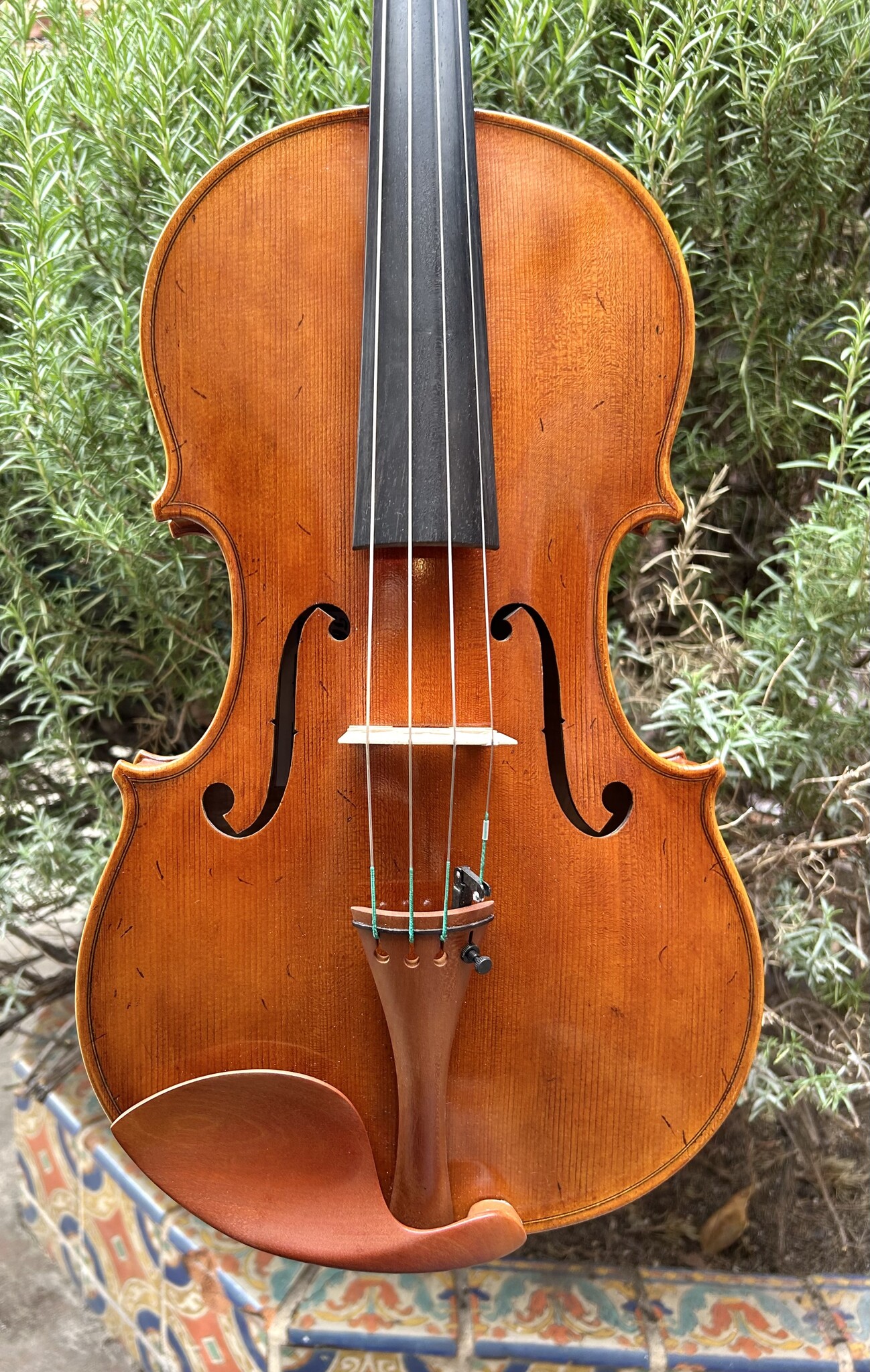Thankful Strings THANKFUL STRINGS 15.5" viola, model 200, CHINA