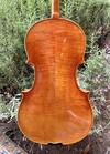 Thankful Strings THANKFUL STRINGS 15.5" viola, model 200, CHINA