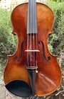 Japanese 16.5" Hiroshi Kono viola, #30480, 2023, Tokyo, Japan