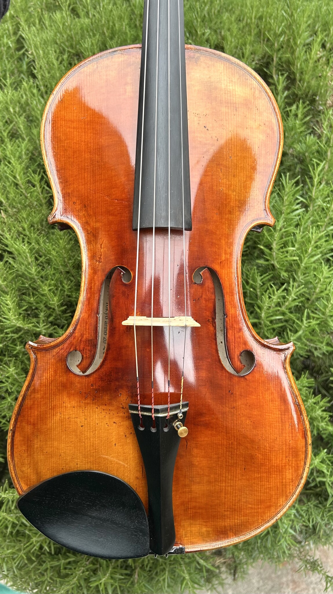 Japanese 16.5" Hiroshi Kono viola, #30480, 2023, Tokyo, Japan