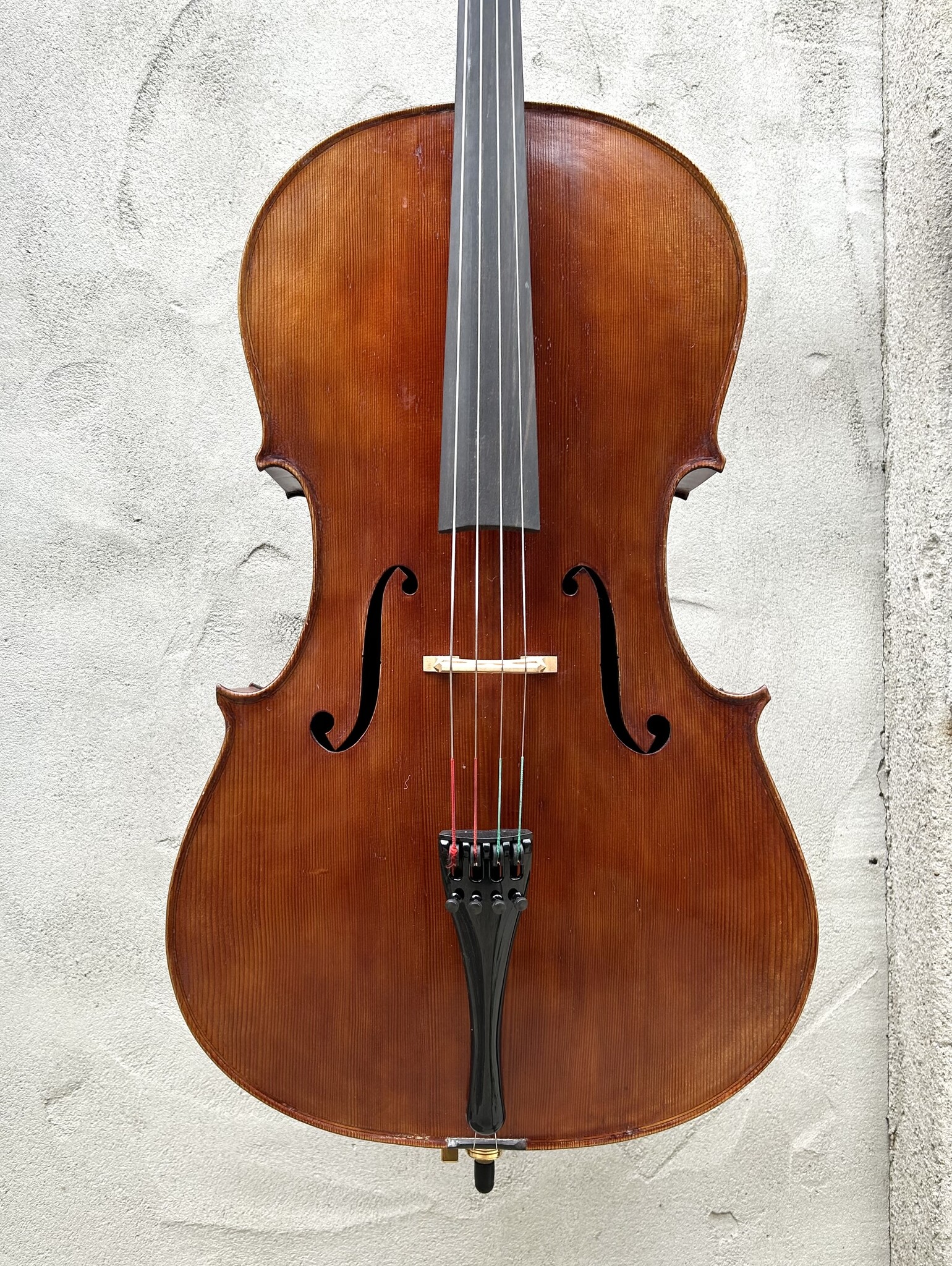 English William Piper workshop cello, no. 507, Hanbury, Worcestershire | Metzler Violins