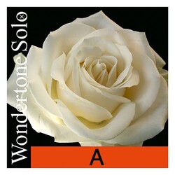 Pirastro WONDERTONE SOLO violin string,