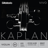 D'Addario KAPLAN VIVO 4/4 violin string,
