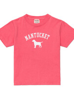 Comfort Wash Comfort Wash Youth Tee Lake Dog