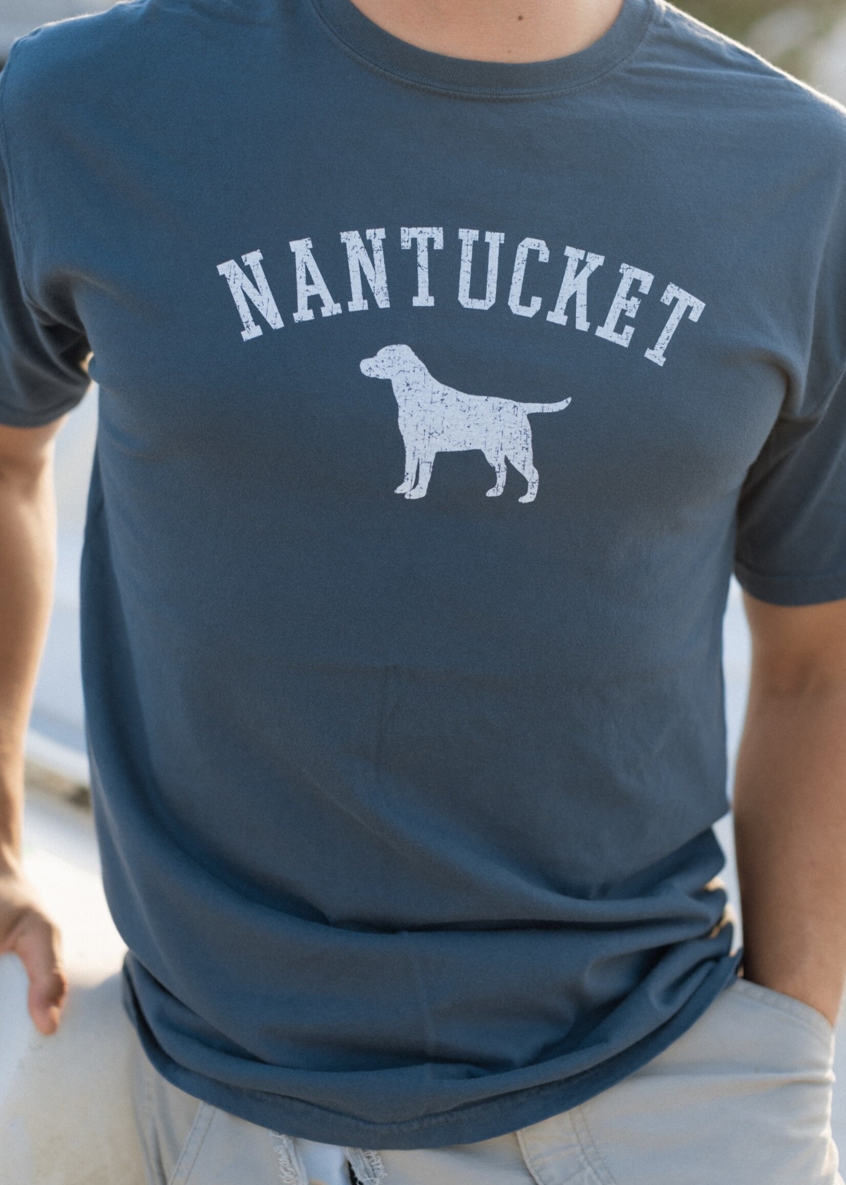 Comfort Colors Comfort Colors Unisex Tee  Lake Dog